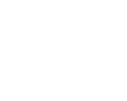 Grupo Gestiona Tapachula_White